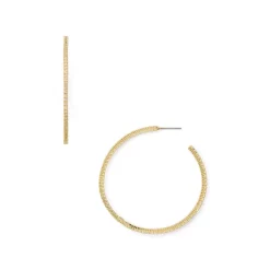 Best reviews of ๐ AQUA Plunger Hoop Earrings - 100% Exclusive Gold ๐ฅฐ