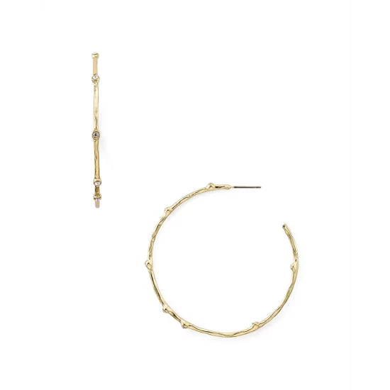 New ๐งจ AQUA Crystal Hoop Earrings - 100% Exclusive Gold ๐